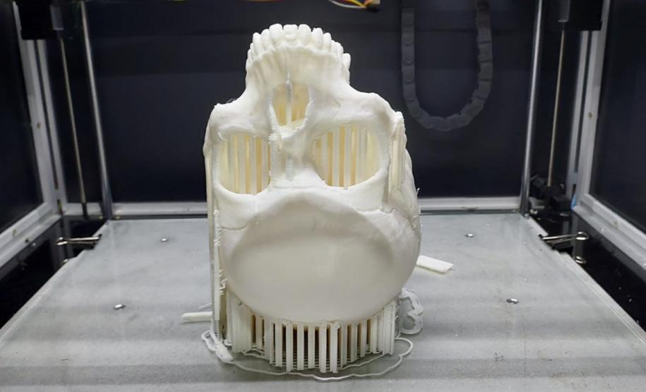 Réplica em 3D de crânio é a novidade no acervo do Museu Paranaense de Ciências Forenses