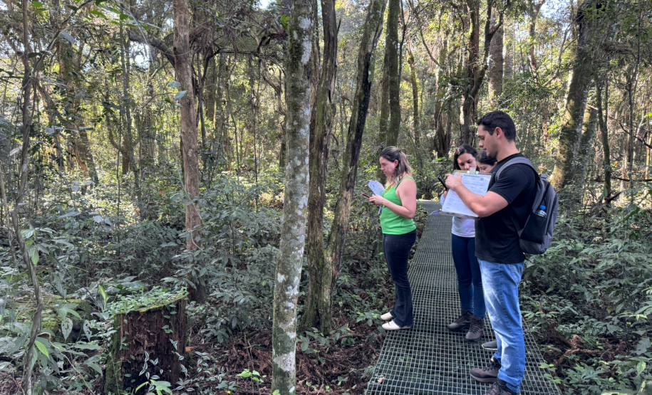 Polícia Científica promove encontros para atualizar peritos sobre crimes ambientais