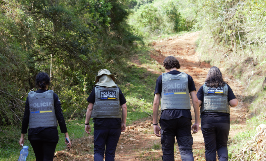 Seção de Crimes Ambientais da Polícia Científica já emitiu mais de mil requisições de exames periciais