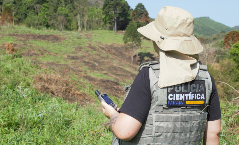 Seção de Crimes Ambientais da Polícia Científica já emitiu mais de mil requisições de exames periciais