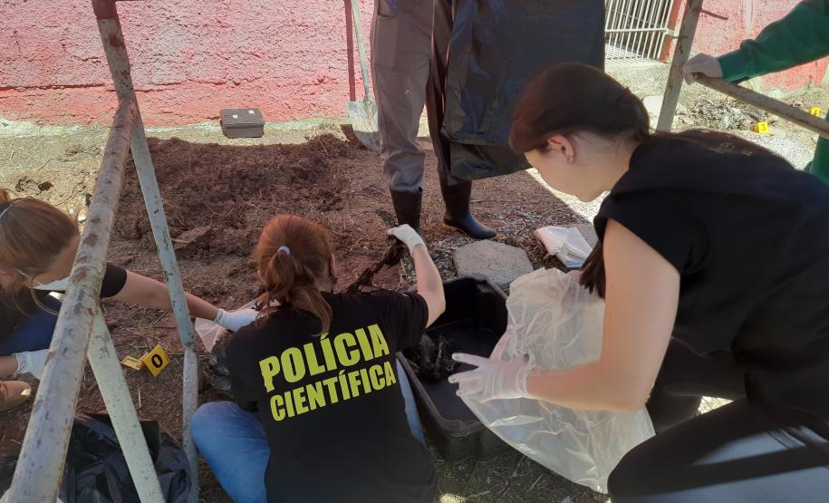 Seção de Crimes Ambientais da Polícia Científica já emitiu mais de mil requisições de exames periciais