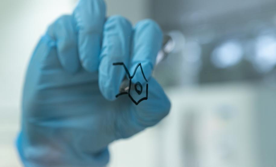 Polícia Científica identifica cocaína rosa após apreensão no Paraná