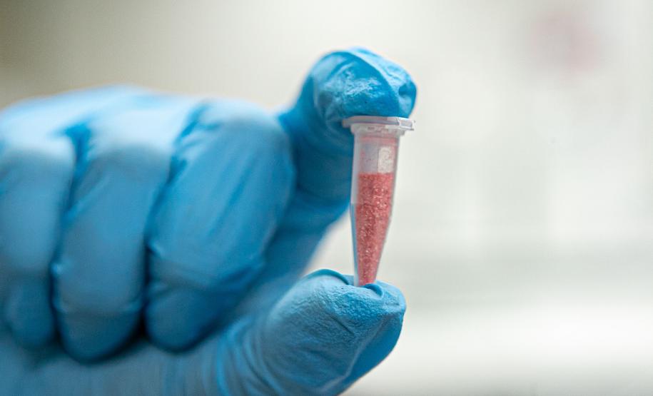 Polícia Científica identifica cocaína rosa após apreensão no Paraná