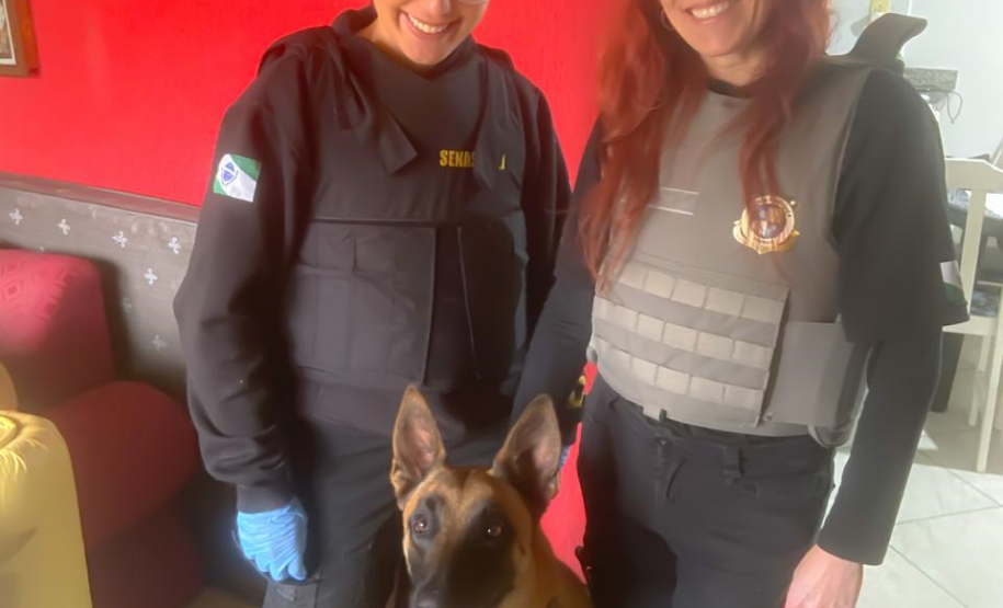 Cão da Polícia Científica detecta vestígios de sangue que olho humano não encontra