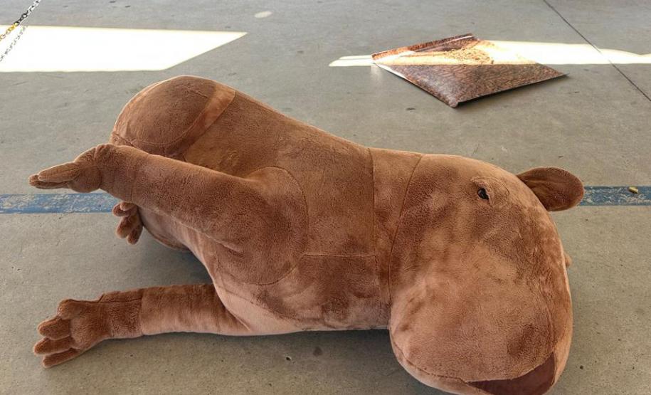 Perícia Mirim: Polícia Científica ensina crianças como desvendar crimes ambientais