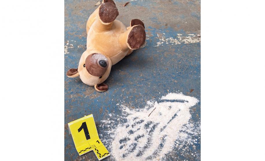 Perícia Mirim: Polícia Científica ensina crianças como desvendar crimes ambientais