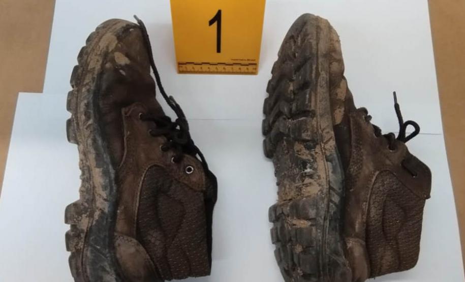 Pioneira: Polícia Científica do Paraná é destaque internacional por geologia forense