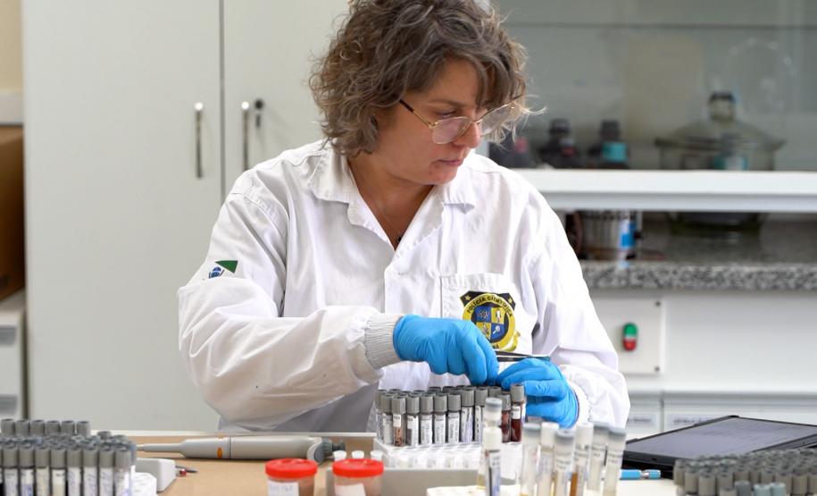 Intoxicação por metanol: análises da Polícia Científica contribuem com investigações