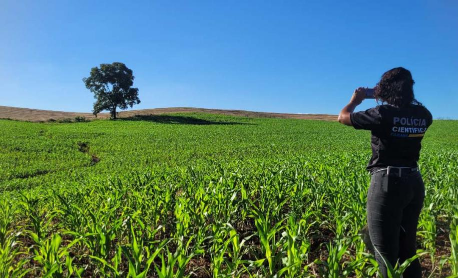 Trabalho de perícia ganha amplitude e índice de solução de homicídios chega a 97% no Paraná