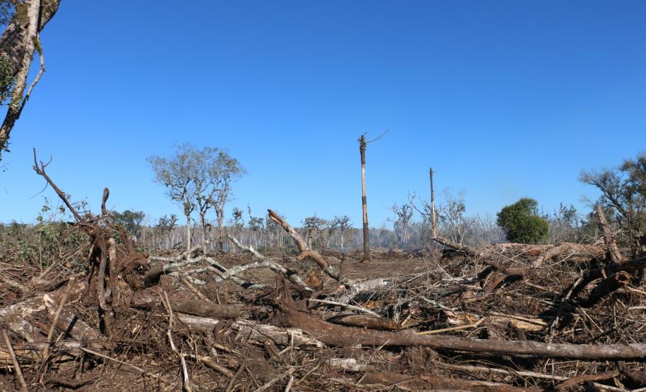 Seção de Perícias Ambientais da PCIPR acelera resposta do Paraná a crimes contra fauna e flora