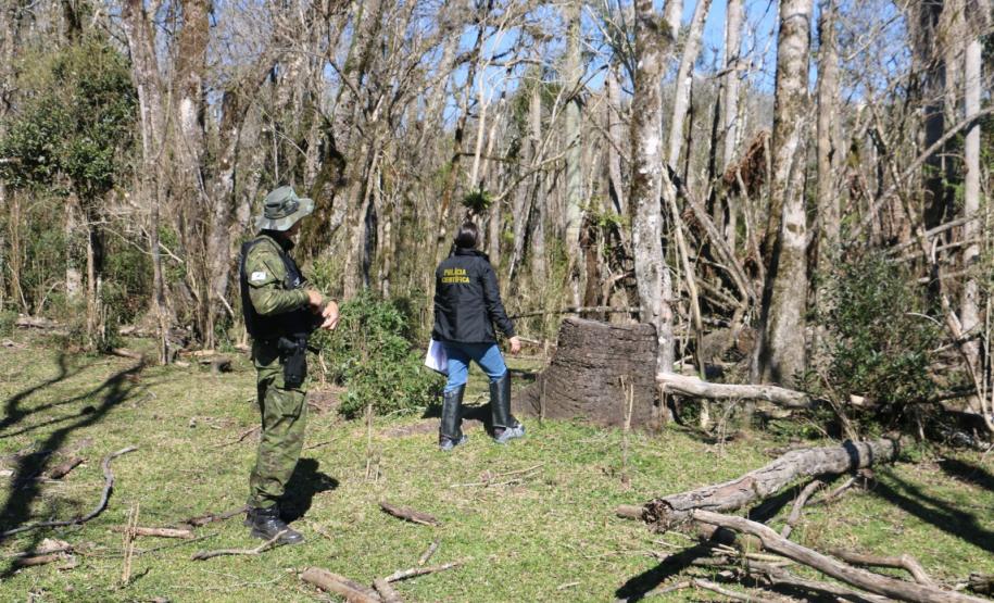 Seção de Perícias Ambientais da PCIPR acelera resposta do Paraná a crimes contra fauna e flora