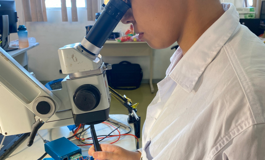 Perícia na era digital: trabalho da Polícia Científica cresce para elucidar crimes cibernéticos