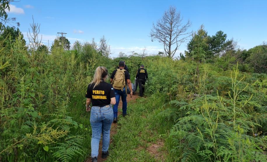Rigor, ciência e responsabilidade: Dia do Perito destaca a importância da ciência no auxílio a justiça