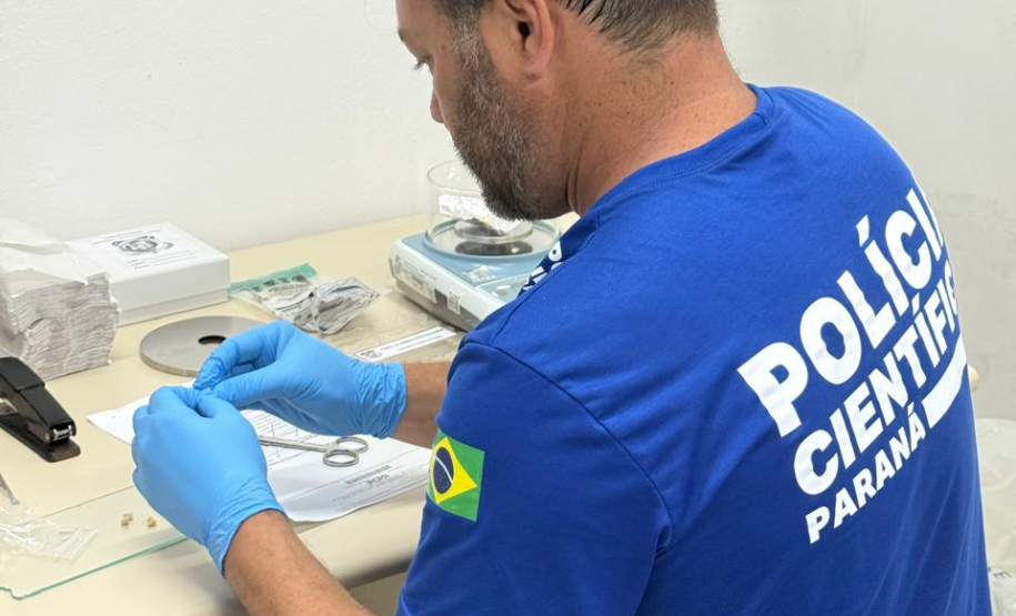 Polícia Científica instala posto avançado de perícias no Litoral durante o Verão Maior Paraná