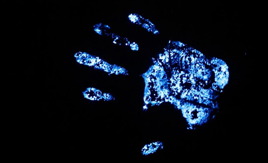 Luminol reforça atuação da Polícia Científica do Paraná a identificar vestígios ocultos