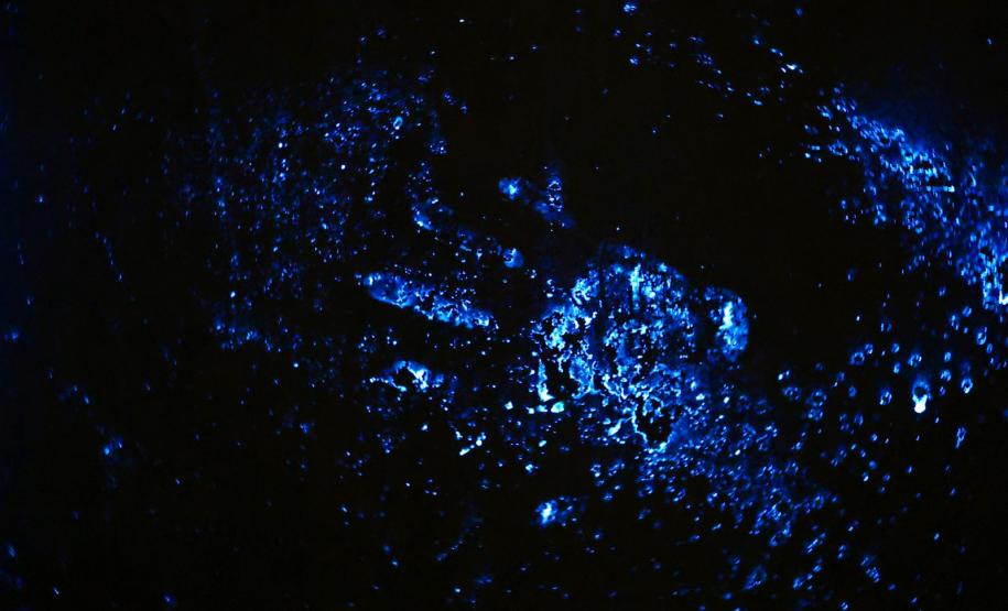 Luminol reforça atuação da Polícia Científica do Paraná a identificar vestígios ocultos