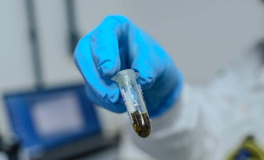 Polícia Científica do Paraná reforça estrutura para análise de drogas no Litoral do Estado