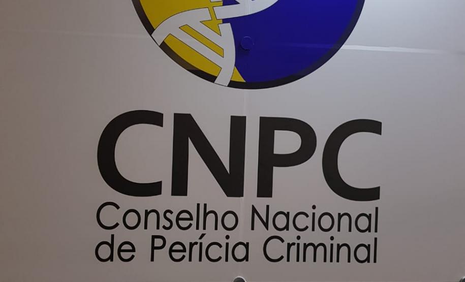 Confira a galeria de fotos desta notícia