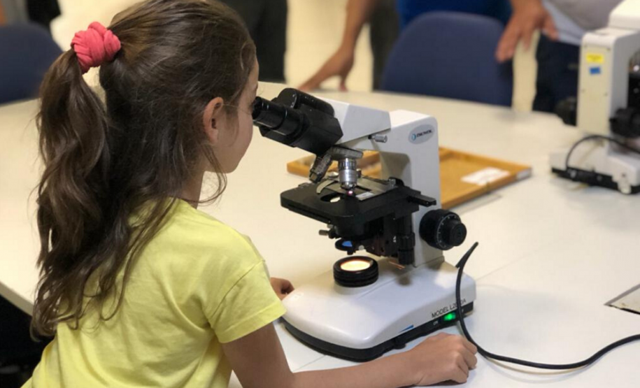 Atividade prática de análises laboratoriais