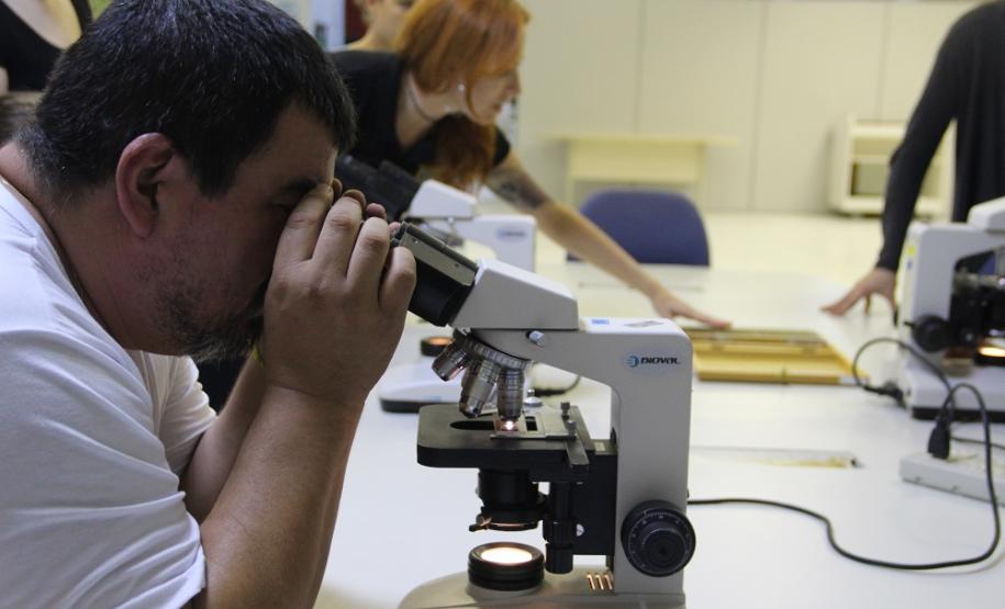 Atividade prática de análises laboratoriais