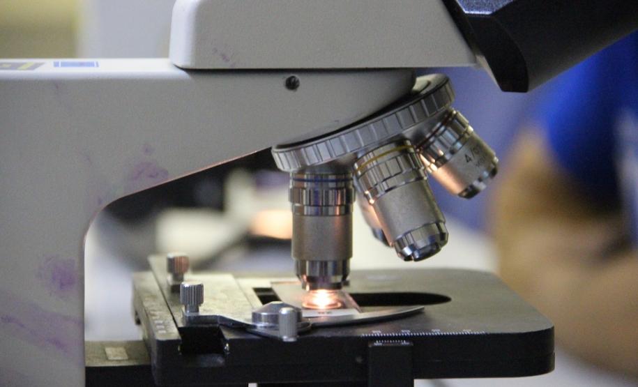 Atividade prática de análises laboratoriais