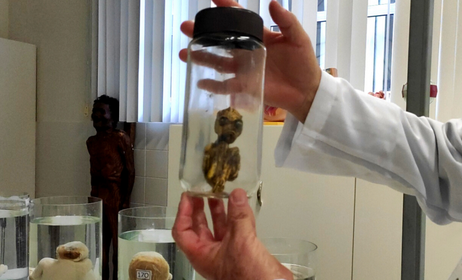 Exposição itinerante do Museu de Ciências Forenses