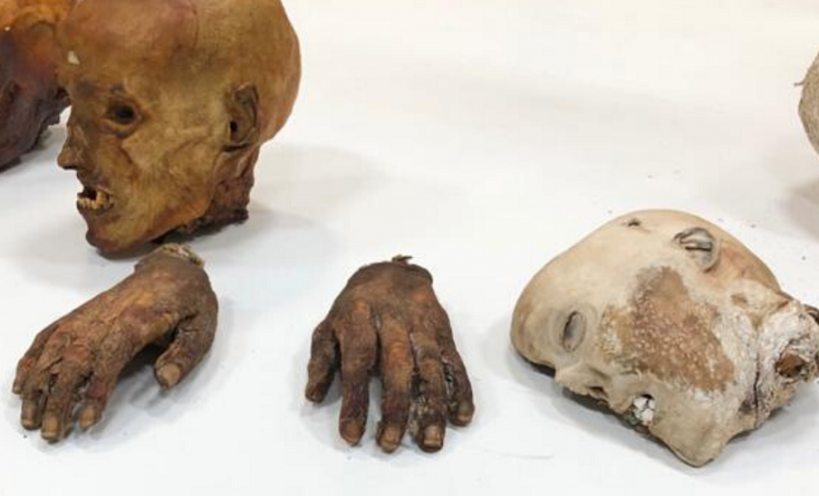 Exposição itinerante do Museu de Ciências Forenses