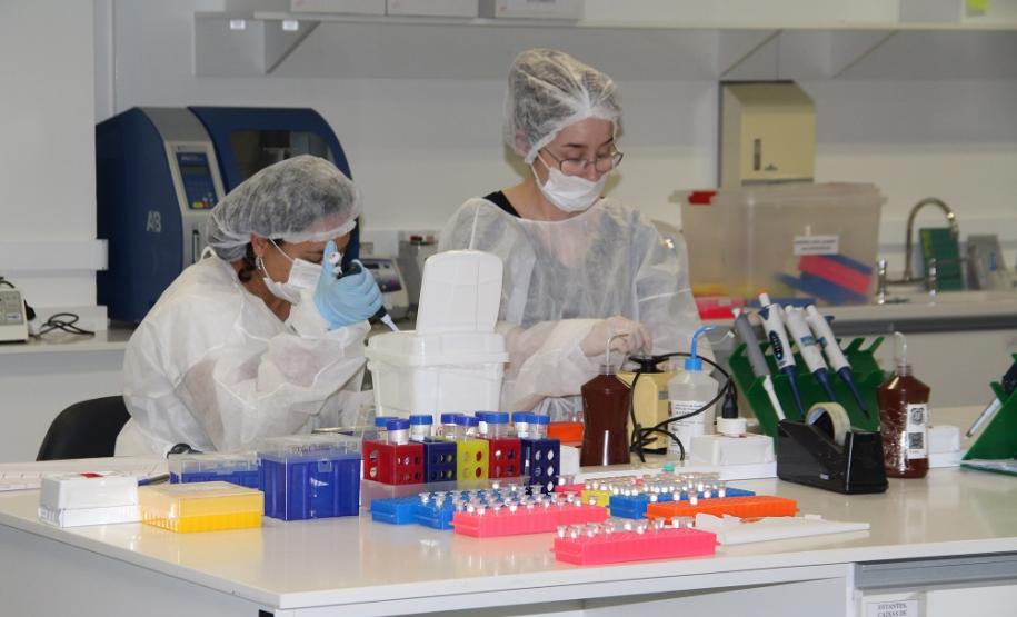 Polícia Científica do Paraná aperfeiçoa área de banco de perfis genéticos